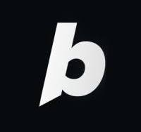 Bolt logo